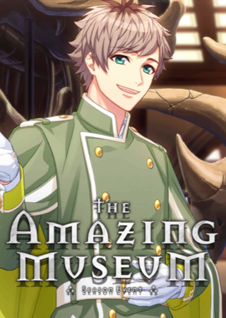 The Amazing Museum